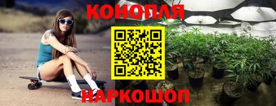 PSILOCYBIN Камышлов